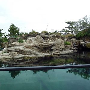 Sea Cliffs - Black-Footed Penguin Exhibit