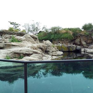 Sea Cliffs - Black-Footed Penguin Exhibit