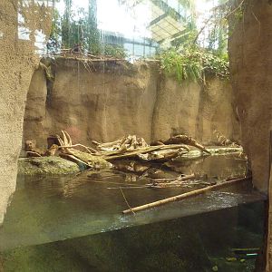 Wetlands on the Edge - River Otter Exhibit (Side View)