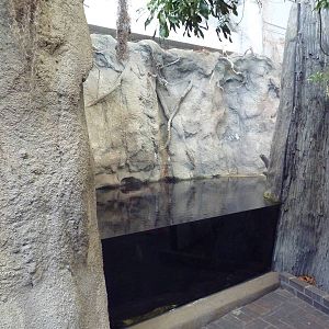 Wetlands on the Edge - American Alligator/Alligator Snapping Turtle Exhibit