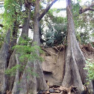Wetlands on the Edge