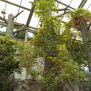 Wetlands on the Edge