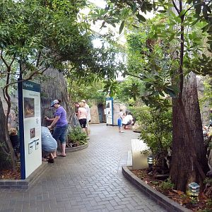 Wetlands on the Edge