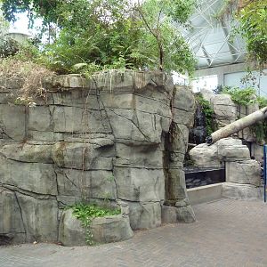 Cape Fear Conservatory