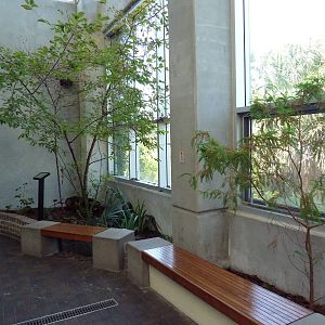 Cape Fear Conservatory - Box Turtle/Glass Lizard Exhibit