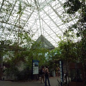 Cape Fear Conservatory