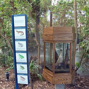 Cape Fear Conservatory - 5-Species Terrarium