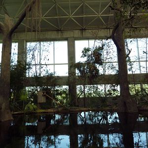 Cape Fear Conservatory