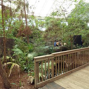 Cape Fear Conservatory