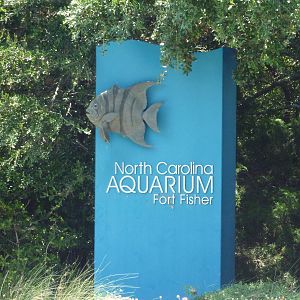 Entrance Sign