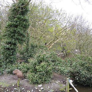 CWP Curraghs Wildlife Park