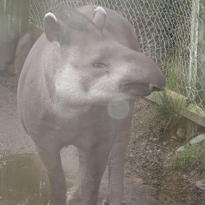 CWP Curraghs Wildlife Park