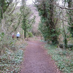 CWP Curraghs Wildlife Park