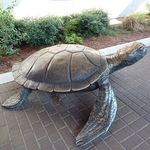 Sea Turtle Statue