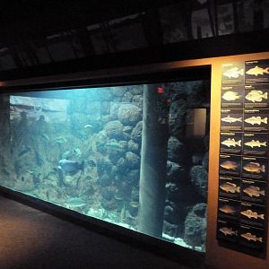 Mountain Gallery Exhibit