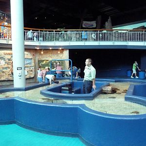 Main Floor - Touch Tank