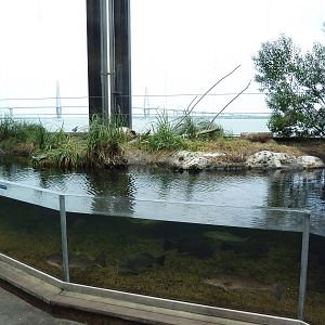 Salt Marsh Exhibit