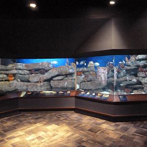 The Coast Gallery Exhibit