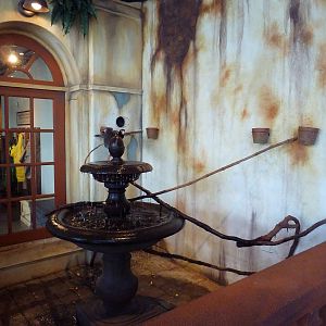 Madagascar Journey - Vasa Parrot Exhibit