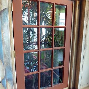 Madagascar Journey - Panther Chameleon Exhibit