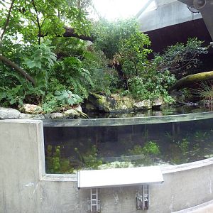 Wetlands - Spring-Fed Streams