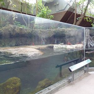 Wetlands - River Otter Exhibit