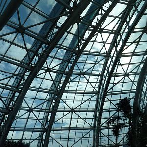 Wetlands - Arched Wall