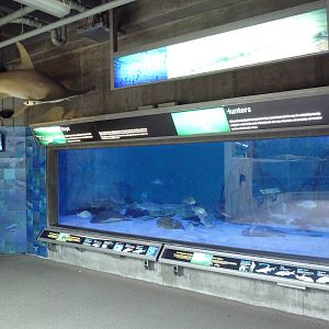 Bays + Beaches Gallery