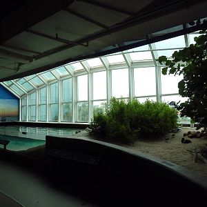 Bays + Beaches Gallery