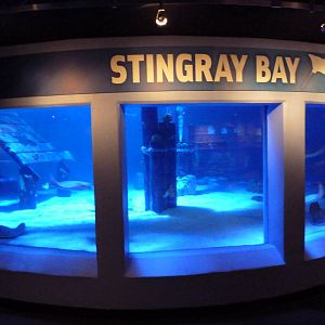 Stingray Bay