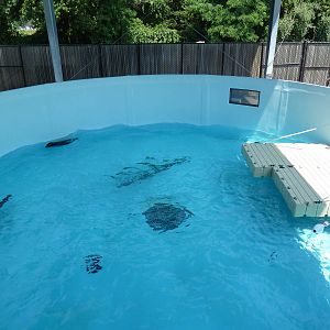 Marine Mammal Observatory