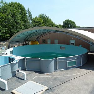 Marine Mammal Observatory
