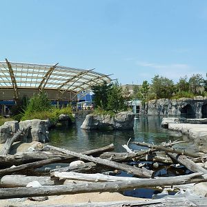 Arctic Coast - Beluga Whale Exhibit