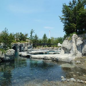 Arctic Coast - Beluga Whale Exhibit