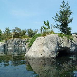 Arctic Coast - Beluga Whale Exhibit