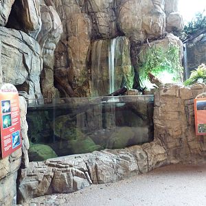 North American Wilderness