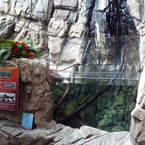 North American Wilderness