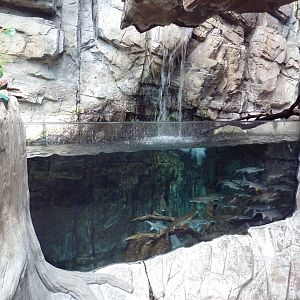 North American Wilderness