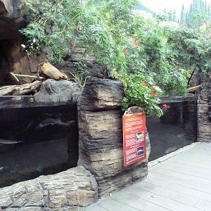 North American Wilderness