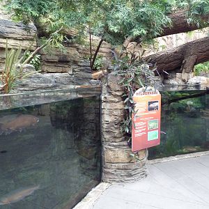 North American Wilderness