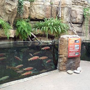 North American Wilderness