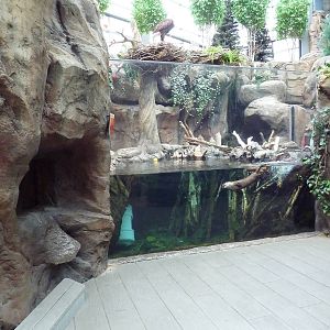 North American Wilderness - River Otter Exhibit