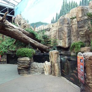 North American Wilderness