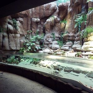 In the Desert Gallery