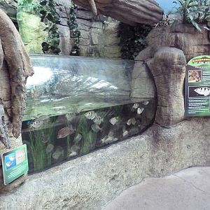Rainforest Exhibit