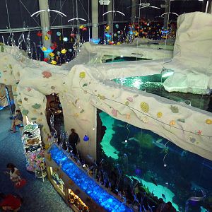 Aquarium Restaurant