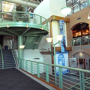Aquarium Entrance - Bottom Right Corner