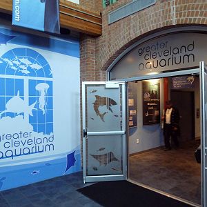 Aquarium Entrance