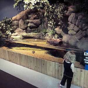 Ohio Lakes + Rivers - Turtle Tank (Open-Topped)