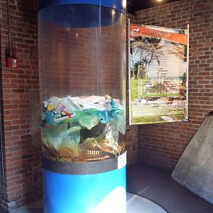 Discovery Zone - Pollution Exhibit